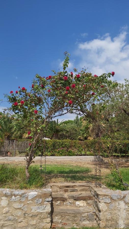 沃尔沃罗Jenny'S Garden公寓 外观 照片